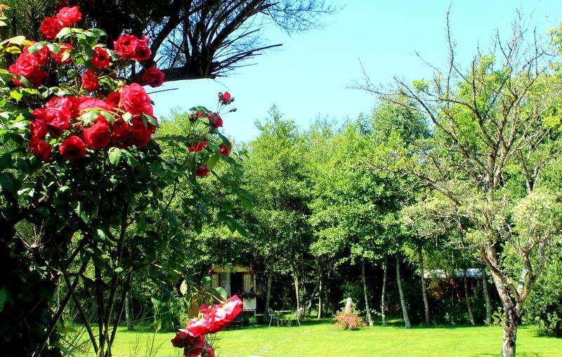 Roulottes Du Rouard Bed & Breakfast Camiers Ruang foto