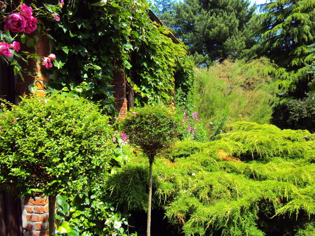 Roulottes Du Rouard Bed & Breakfast Camiers Bagian luar foto