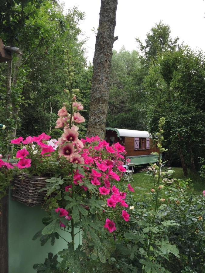 Roulottes Du Rouard Bed & Breakfast Camiers Bagian luar foto