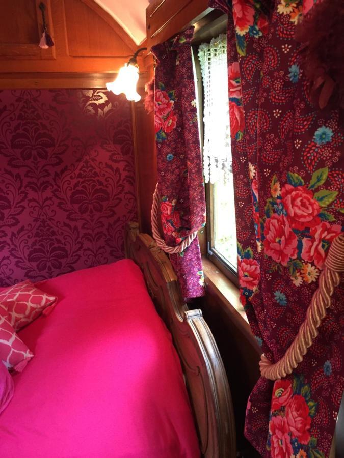 Roulottes Du Rouard Bed & Breakfast Camiers Bagian luar foto